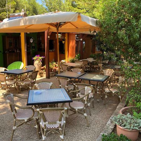 B&B Villa Carla Vieste Bagian luar foto