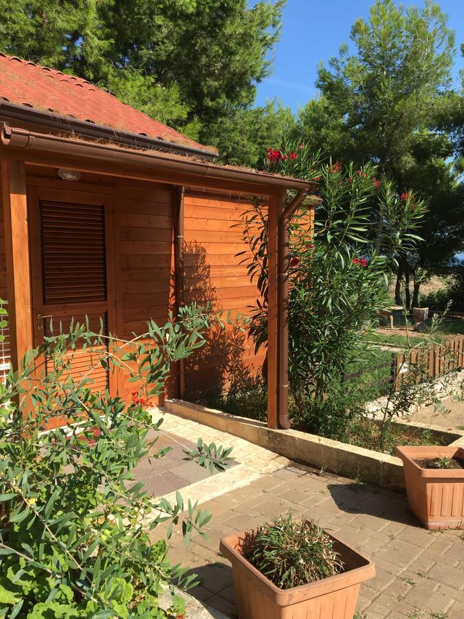 B&B Villa Carla Vieste Bagian luar foto