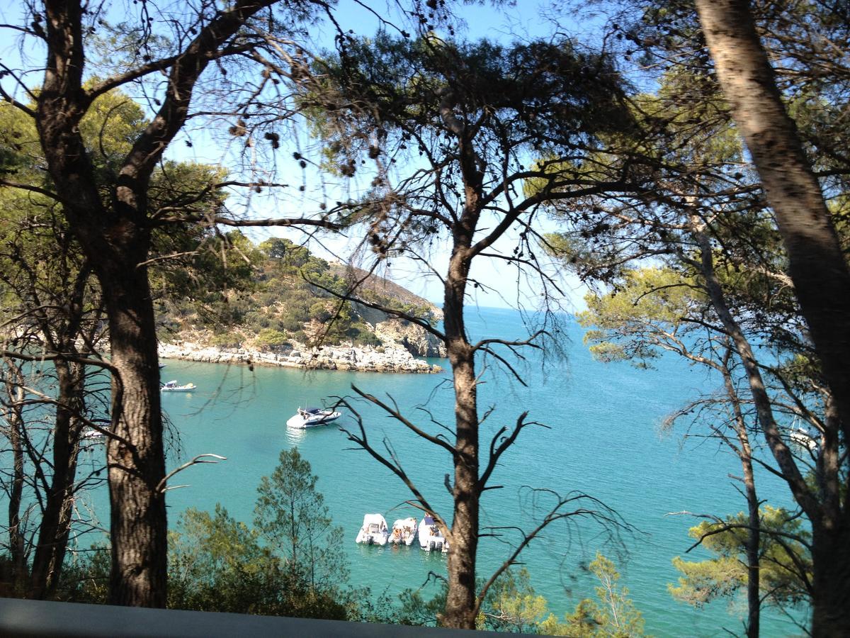 B&B Villa Carla Vieste Bagian luar foto