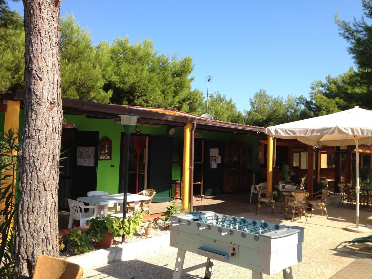 B&B Villa Carla Vieste Bagian luar foto